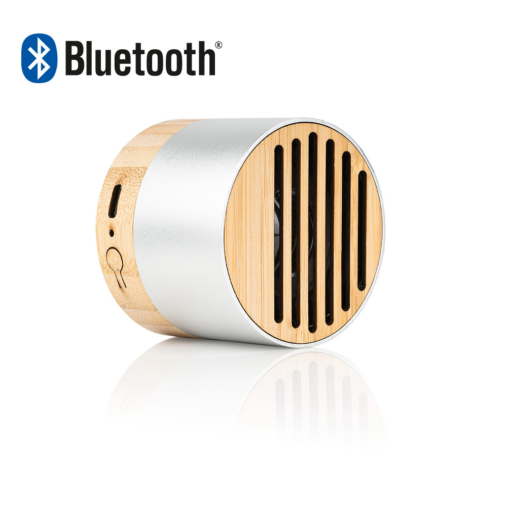 Altavoz New