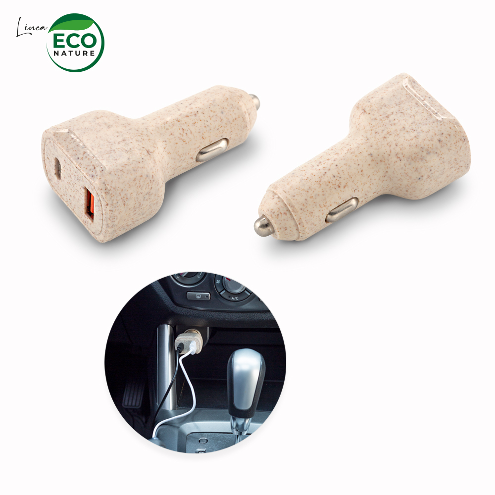 CARGADOR PARA CARRO ECO